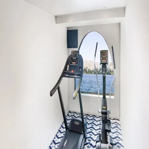Movenpick Sun Ray — круиз по Нилу на 8 дней : Луксор и Асуан