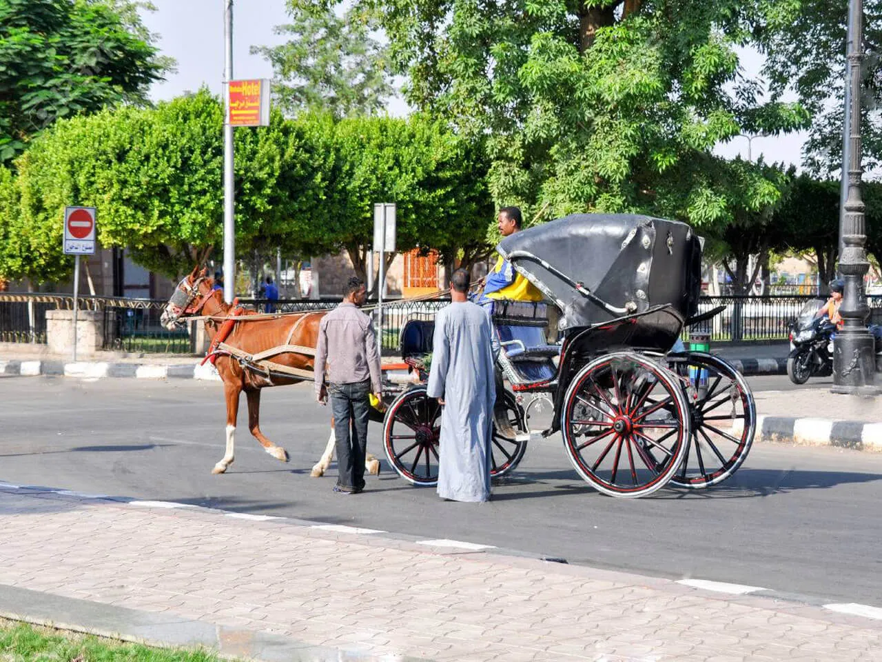 Аутентичная экскурсия по Асуану в конной повозке